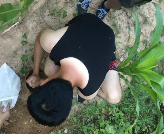 1500544478489833p6uu.png QQ圖片20170720174613.png