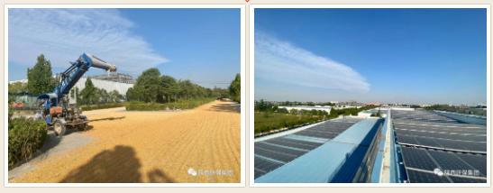 16655372513651131vpz.png 55b13fbb72a50b90f3d2779ff5b9339.png