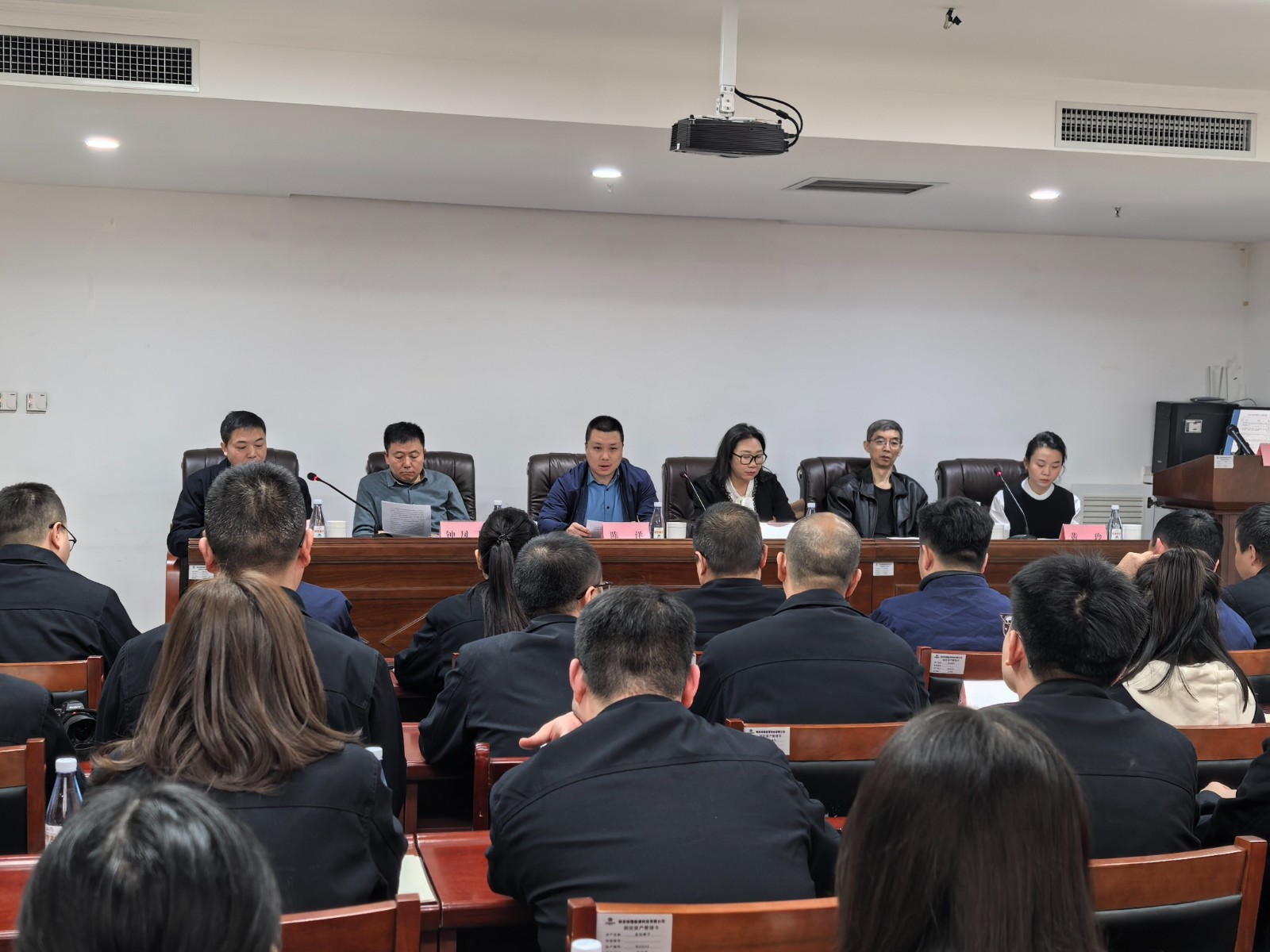 17368183365301777b6l.jpg IMG_20250112_090233.jpg